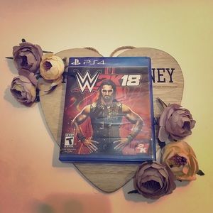 WWE 2K Game